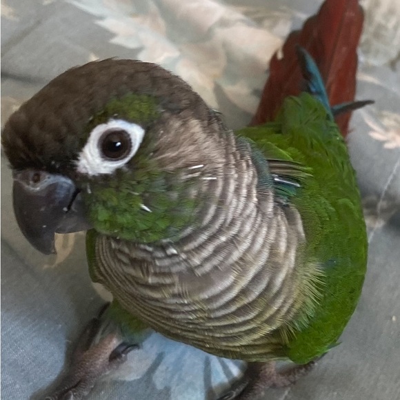 Meet your Posher, Michele - Picture 6 of 8